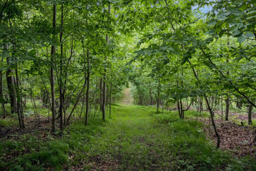 7125 Rainbow Lane, Danbury, WI 54830