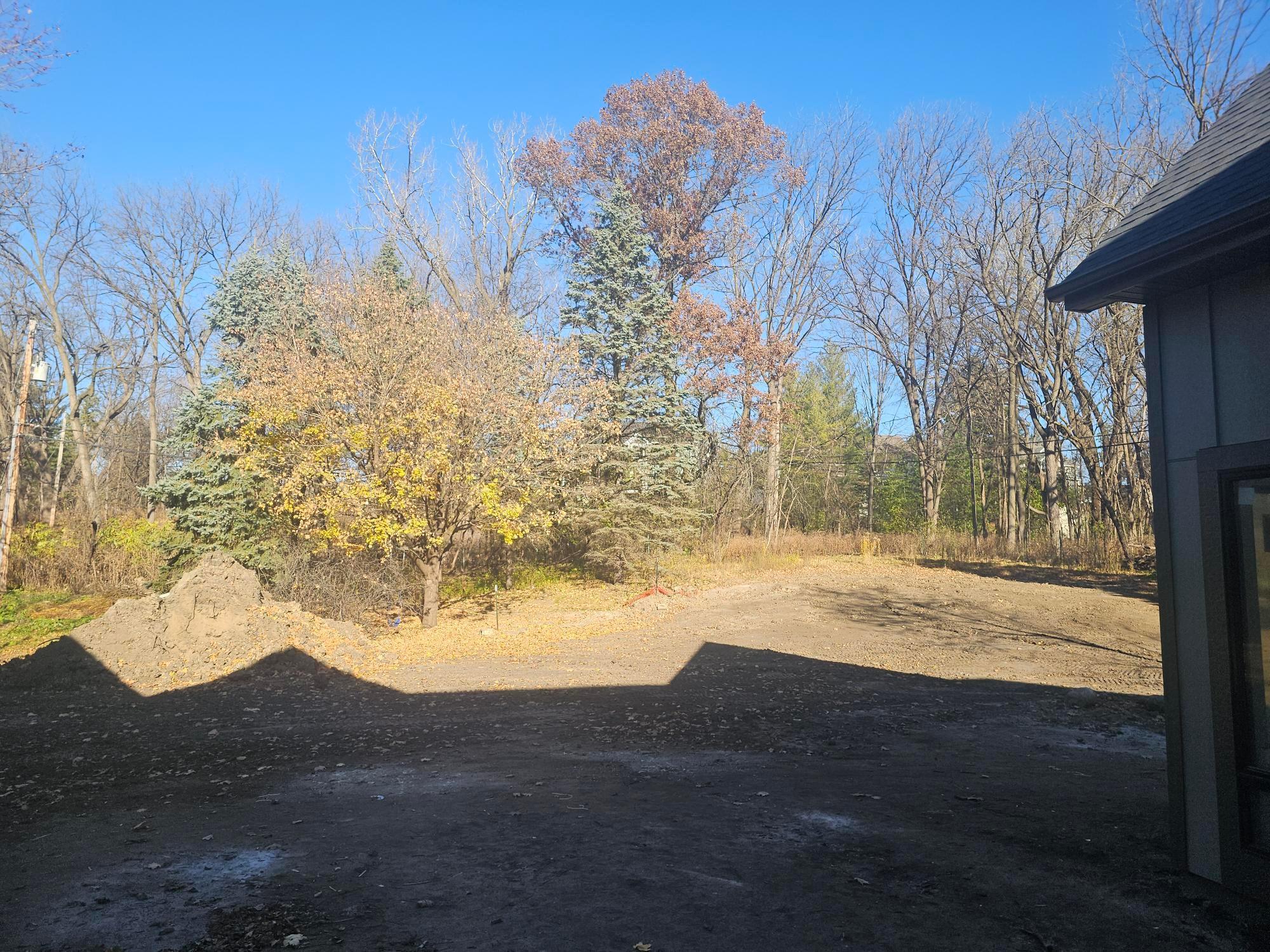 Wooded Back yard with a variety of mature trees