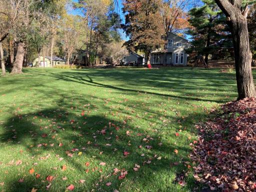 Owner's back yard pic