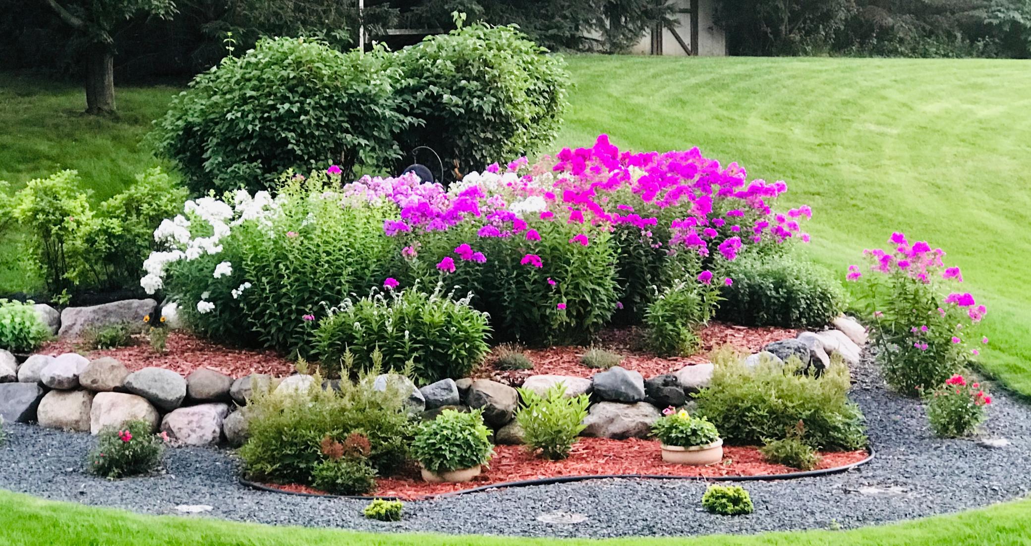 Prior years' photo - Yard in bloom.