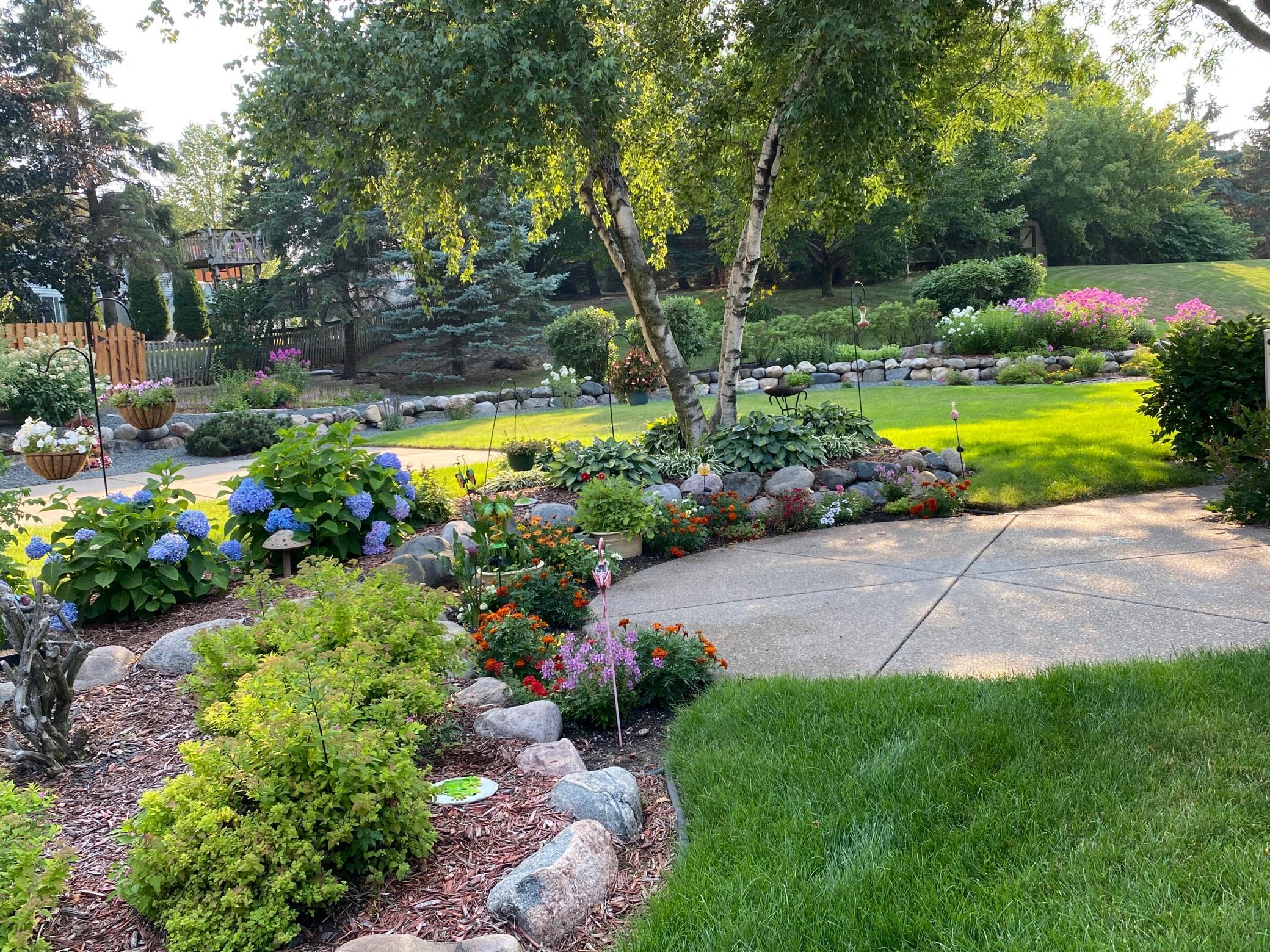 Prior year's photo to show pernnials