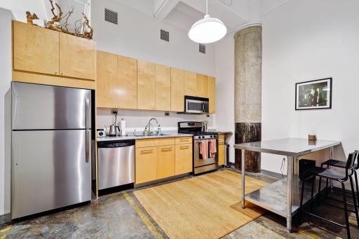 700 Washington Avenue N, 207, Minneapolis, MN 55401