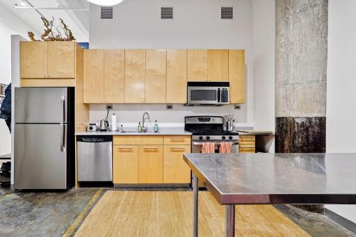 700 Washington Avenue N, 207, Minneapolis, MN 55401