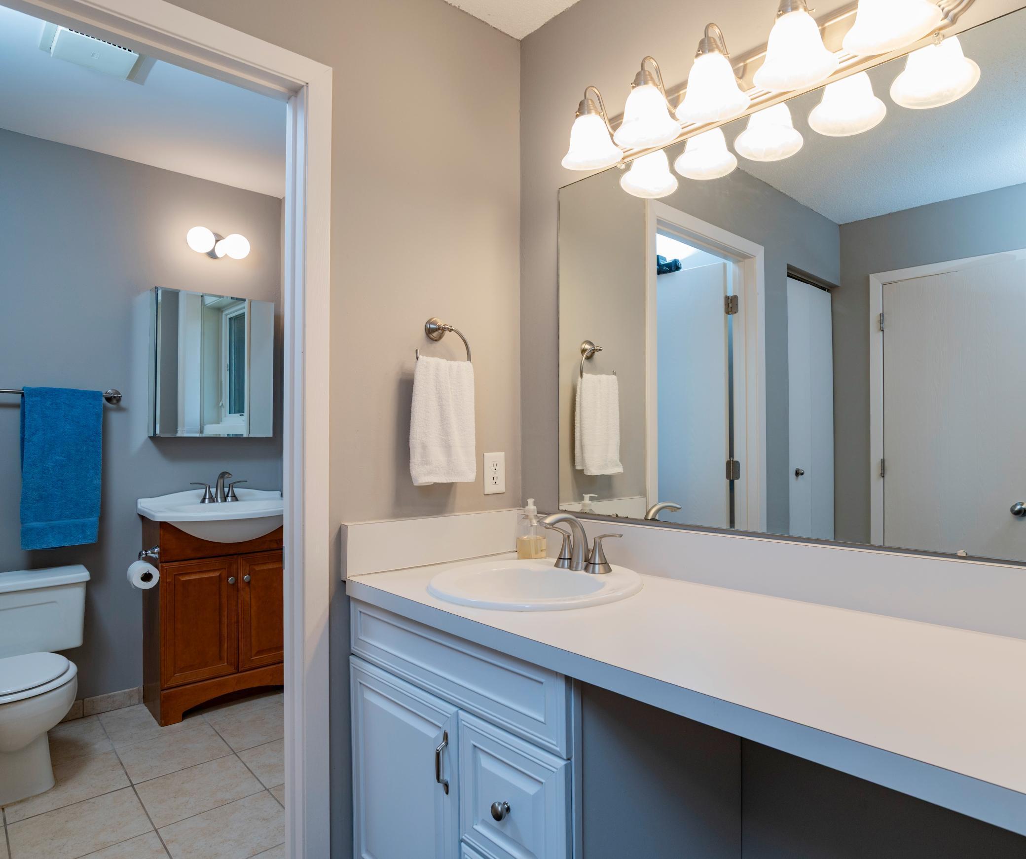 Primary bath suite with separate vanity room with large closet.