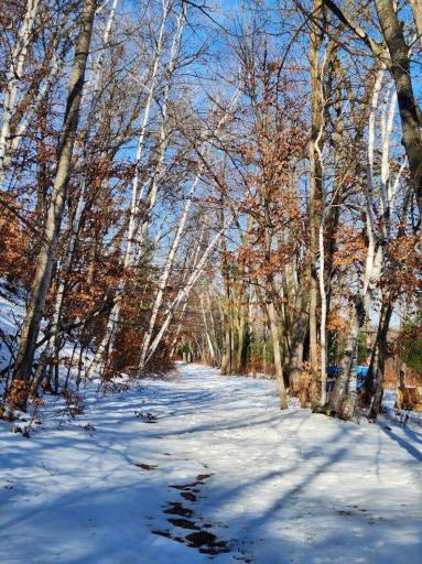 6324 Wilderness Road, Pequot Lakes, MN 56472