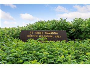 ST CROIX SAVANNAH.jpeg