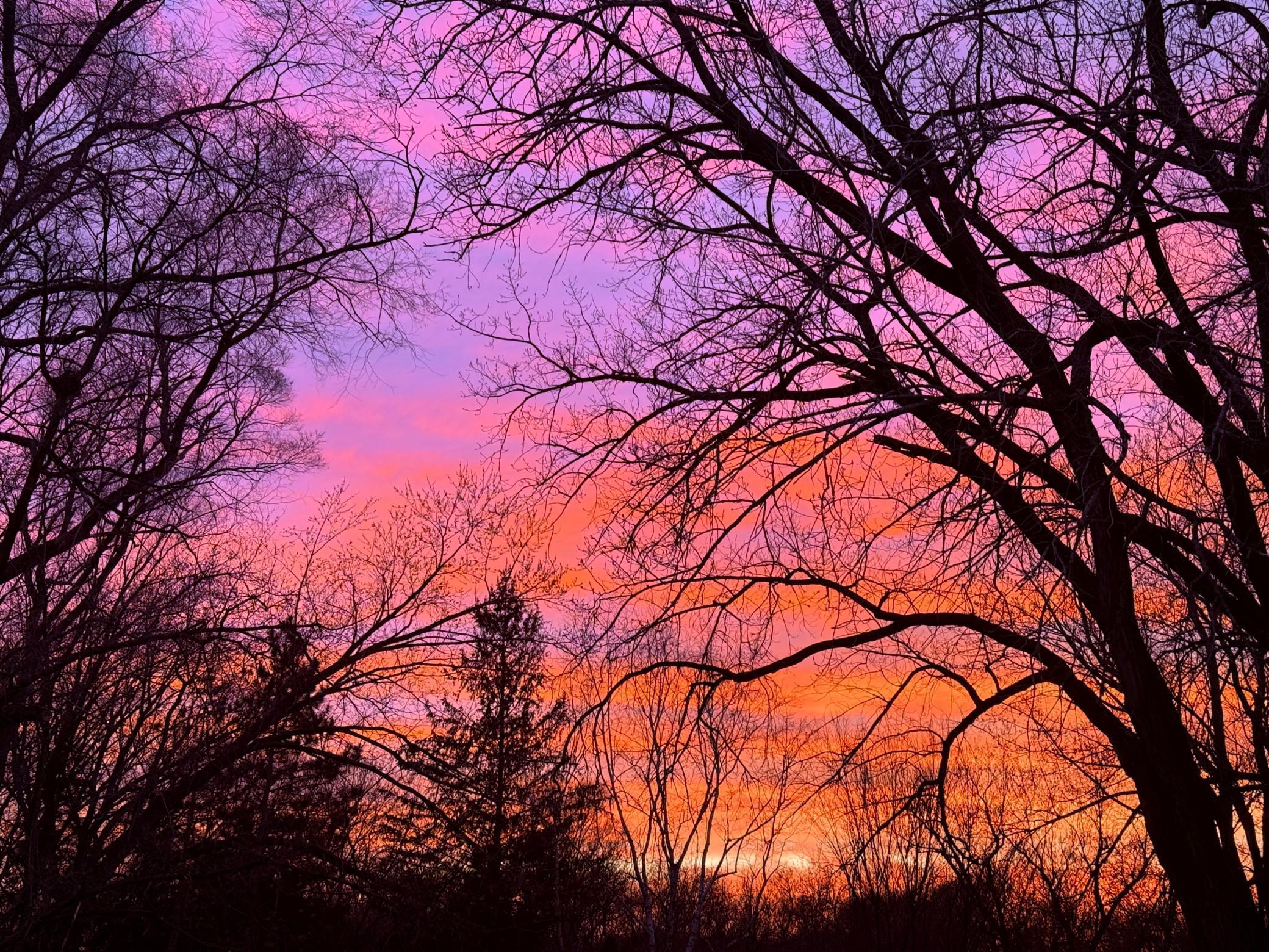 Marvel at breath-taking sunsets from the backyard.