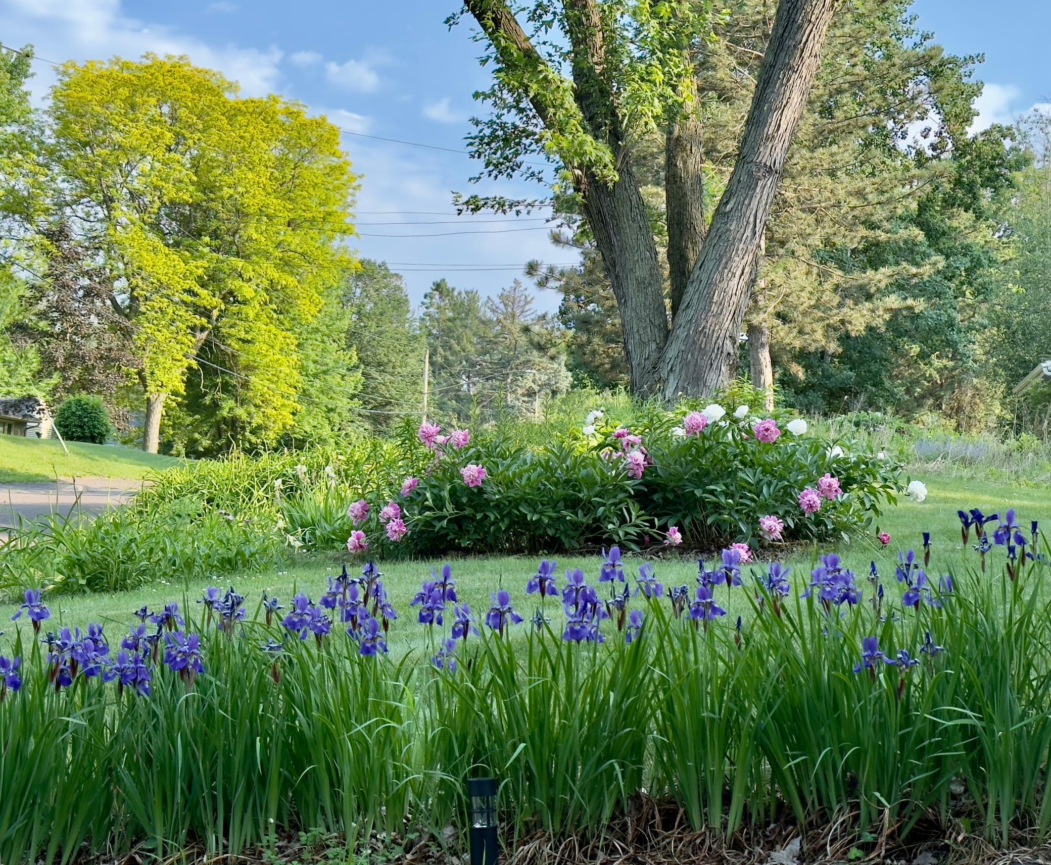 Beautifully-landscaped with irises, peonies and hydrangeas