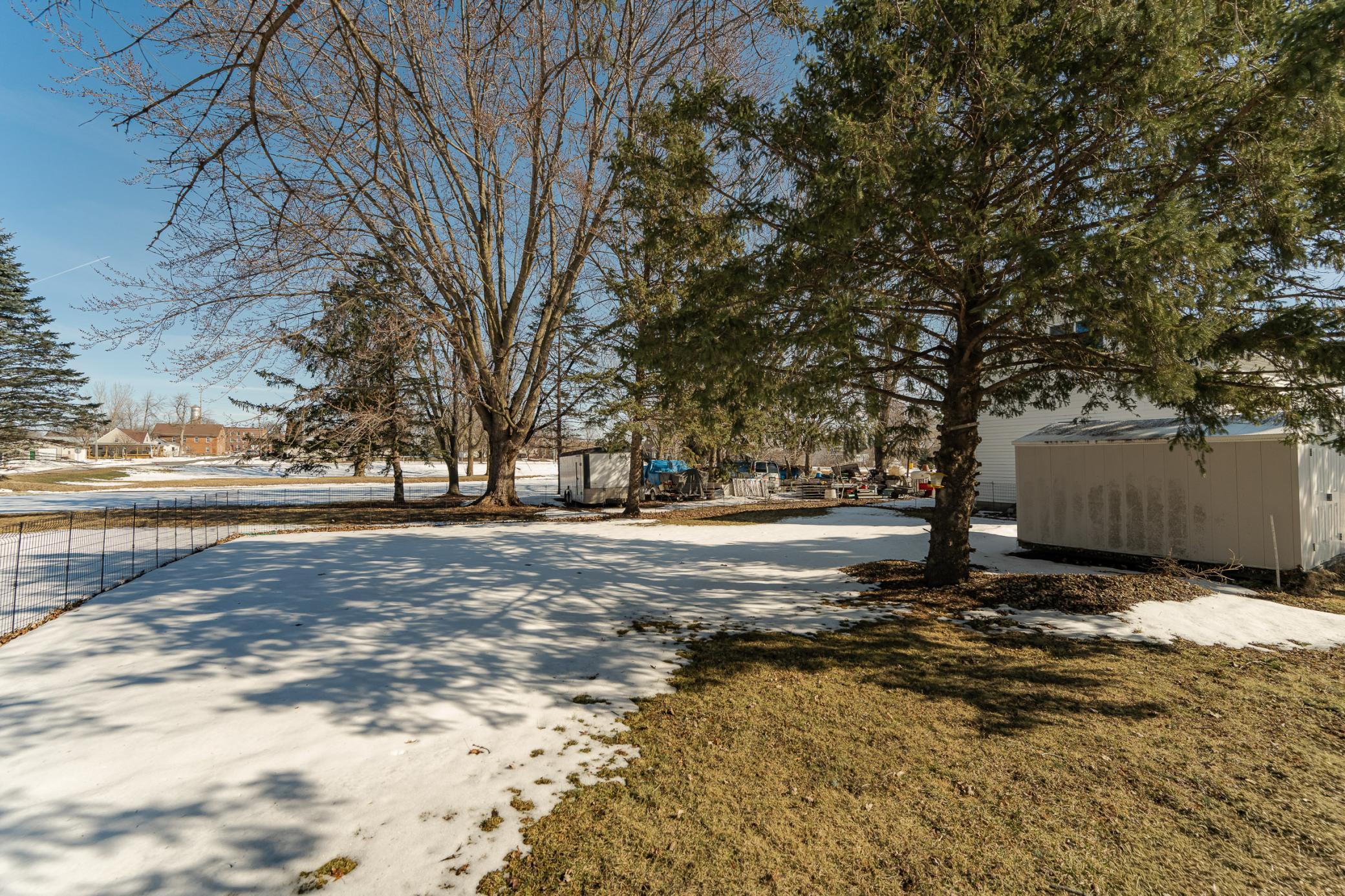 Back yard 3.jpg