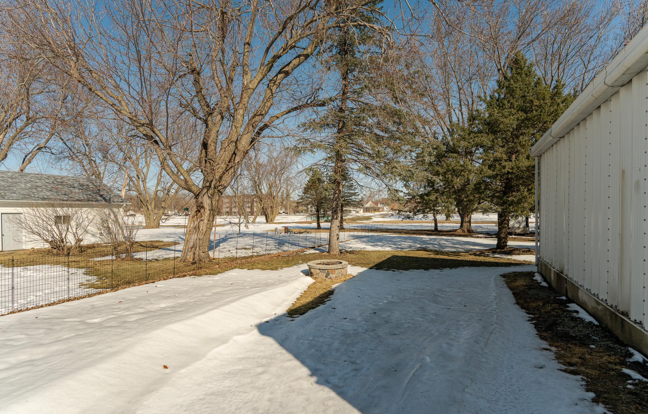 Back yard 2.jpg