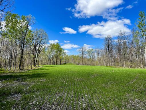 TBD 15th Street NW, Bemidji, MN 56601