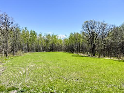 TBD 15th Street NW, Bemidji, MN 56601