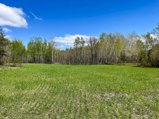 TBD 15th Street NW, Bemidji, MN 56601