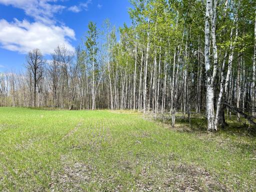 TBD 15th Street NW, Bemidji, MN 56601