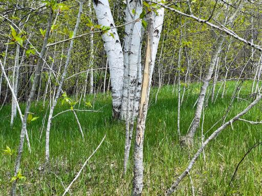 TBD 15th Street NW, Bemidji, MN 56601