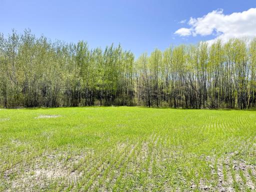 TBD 15th Street NW, Bemidji, MN 56601