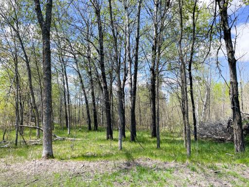 TBD 15th Street NW, Bemidji, MN 56601