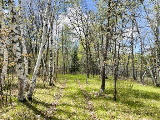 TBD 15th Street NW, Bemidji, MN 56601