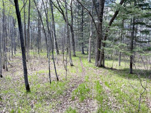 TBD 15th Street NW, Bemidji, MN 56601