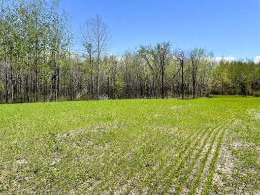 TBD 15th Street NW, Bemidji, MN 56601