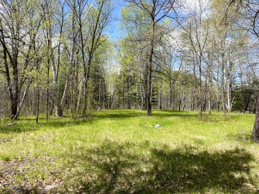 TBD 15th Street NW, Bemidji, MN 56601