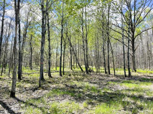 TBD 15th Street NW, Bemidji, MN 56601