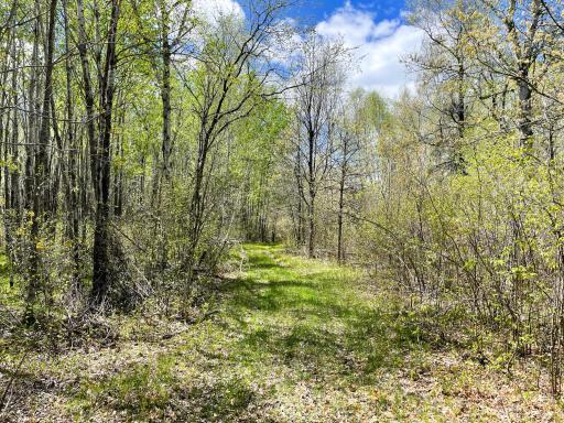 TBD 15th Street NW, Bemidji, MN 56601