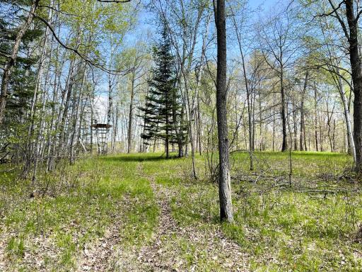 TBD 15th Street NW, Bemidji, MN 56601