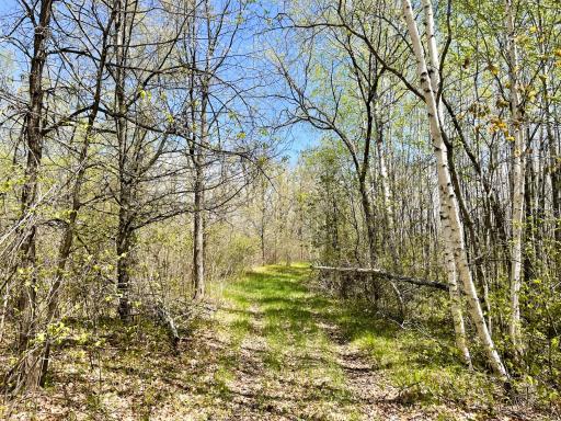 TBD 15th Street NW, Bemidji, MN 56601