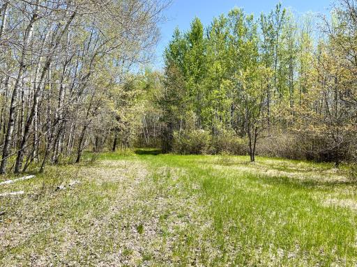 TBD 15th Street NW, Bemidji, MN 56601