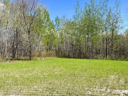 TBD 15th Street NW, Bemidji, MN 56601
