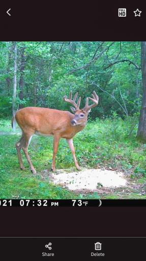 TBD 15th Street NW, Bemidji, MN 56601