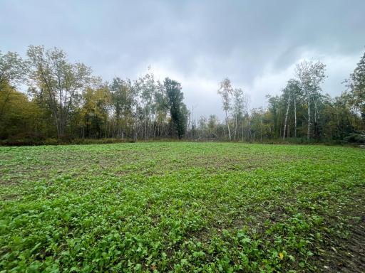TBD 15th Street NW, Bemidji, MN 56601