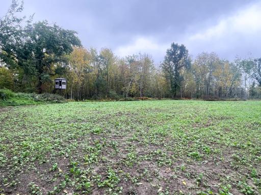 TBD 15th Street NW, Bemidji, MN 56601