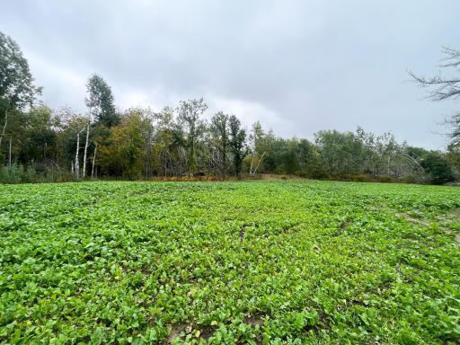 TBD 15th Street NW, Bemidji, MN 56601