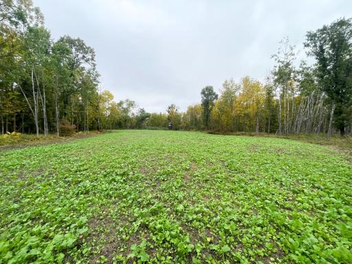 TBD 15th Street NW, Bemidji, MN 56601