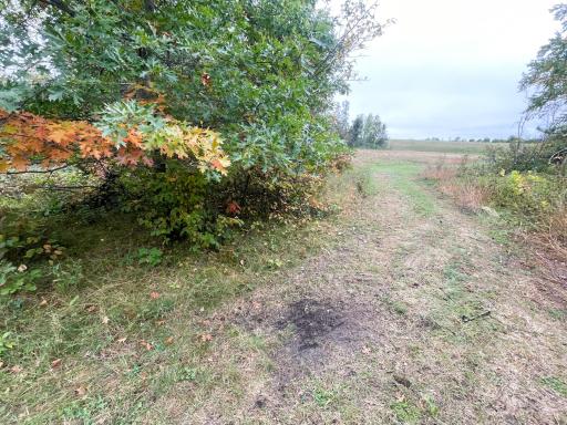 TBD 15th Street NW, Bemidji, MN 56601