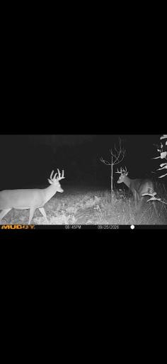TBD 15th Street NW, Bemidji, MN 56601