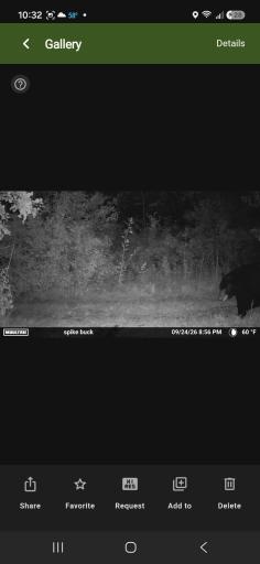 TBD 15th Street NW, Bemidji, MN 56601