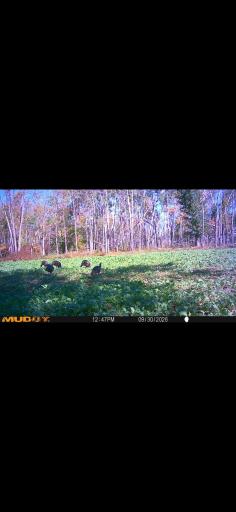 TBD 15th Street NW, Bemidji, MN 56601