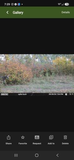 TBD 15th Street NW, Bemidji, MN 56601