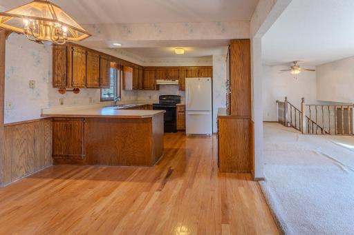 225 106th Avenue NW, Minneapolis, MN 55448