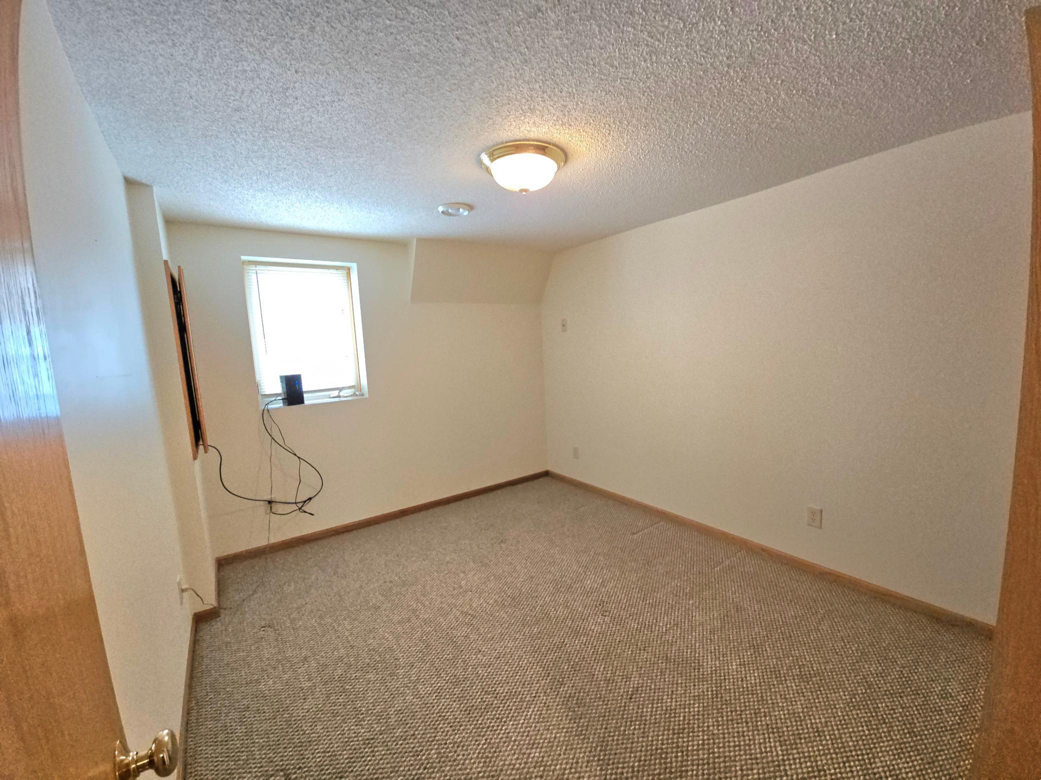 Lower level bedrooom