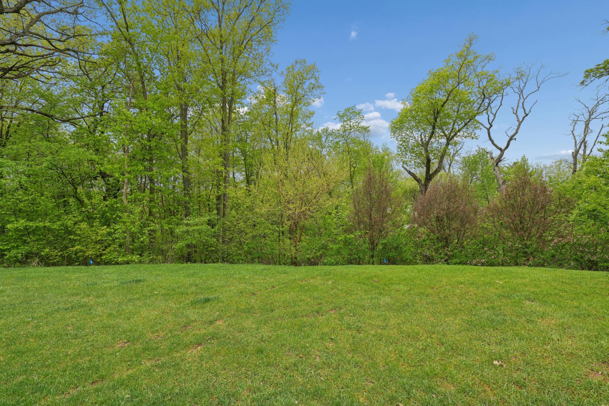 210XX Karoline Ct N - Wooded Backyard