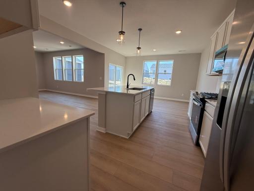 15031 Askeaton Place, Rosemount, MN 55068