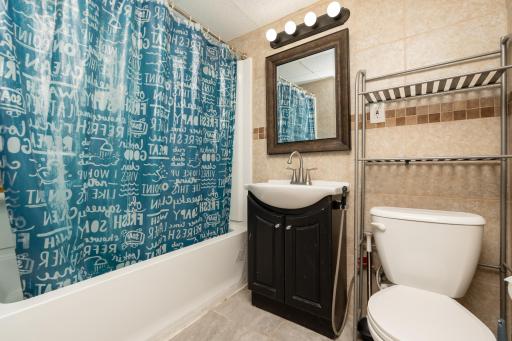 3rd full bath (lower level)