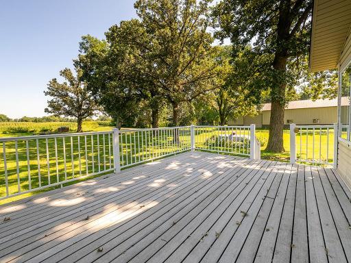 Deck.jpg