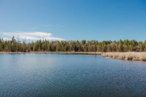 20008 County 84, Akeley, MN 56433