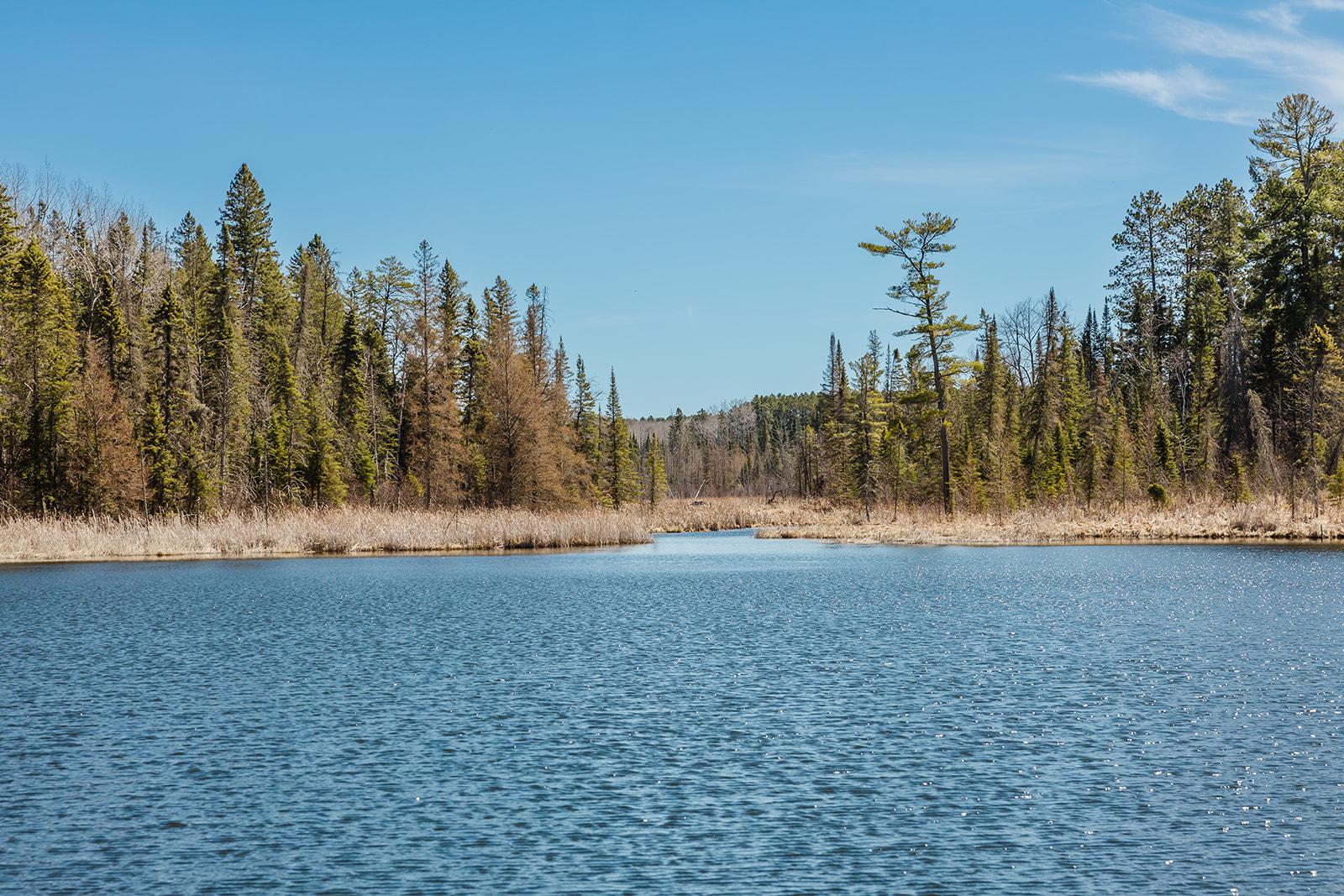 Doe Lake Looking towards River to Mary Lake