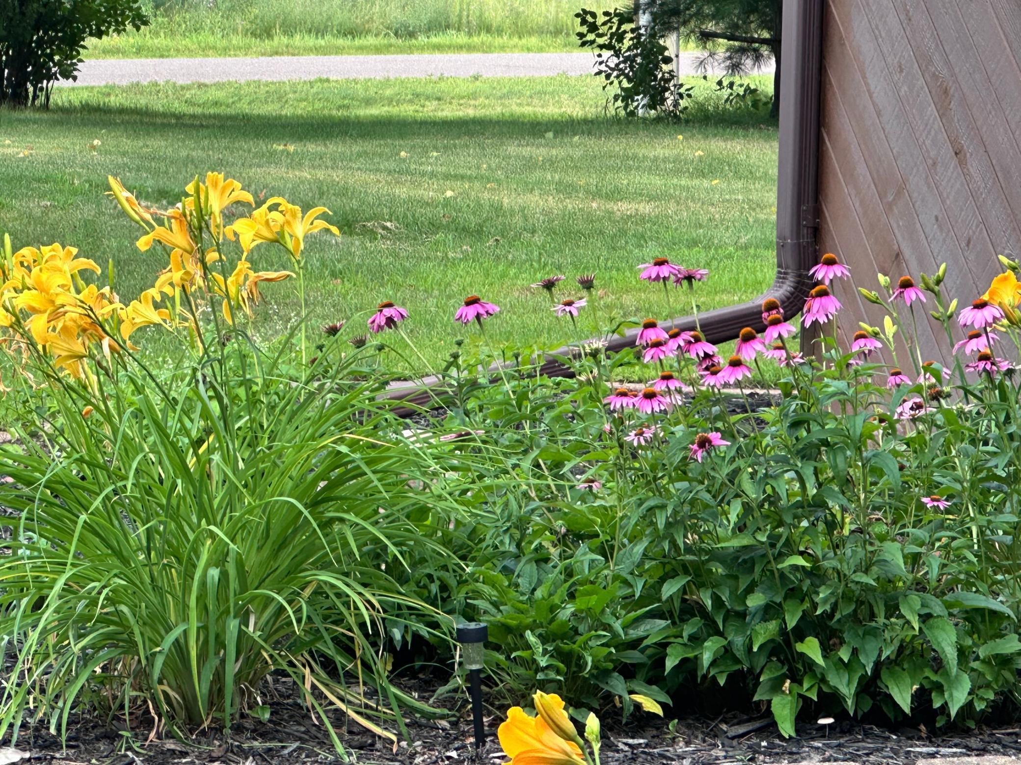 Beautiful landscaping is on the way!